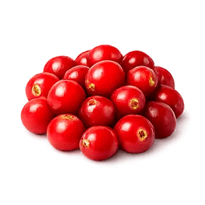 Cystobact — Żurawina (Vaccinium oxycoccos)